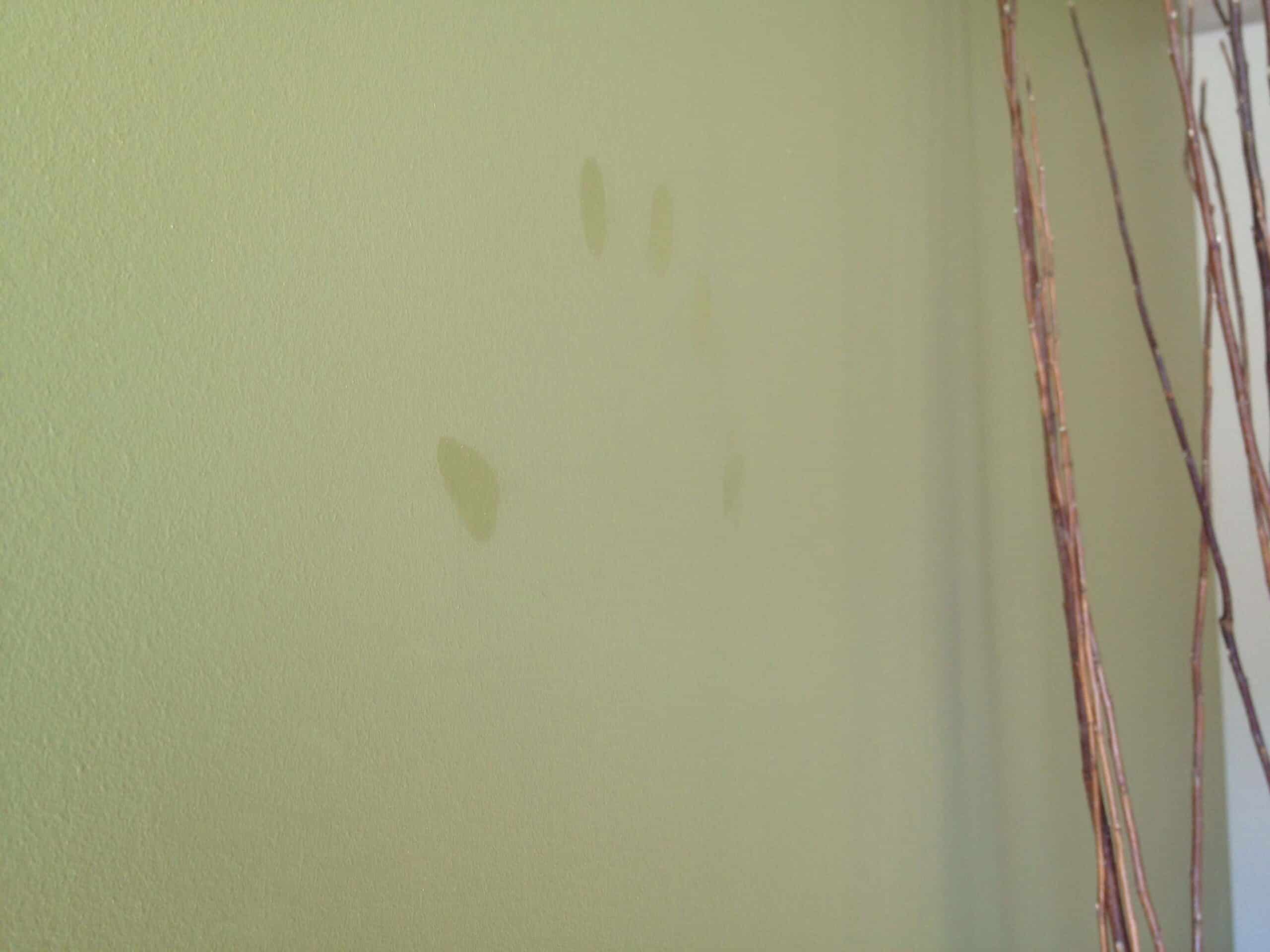 how-to-clean-fingerprints-off-walls-the-maids