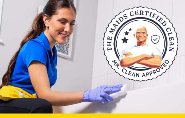 The Maids® & Mr. Clean® Partnership